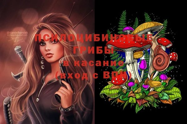 гидра Волосово