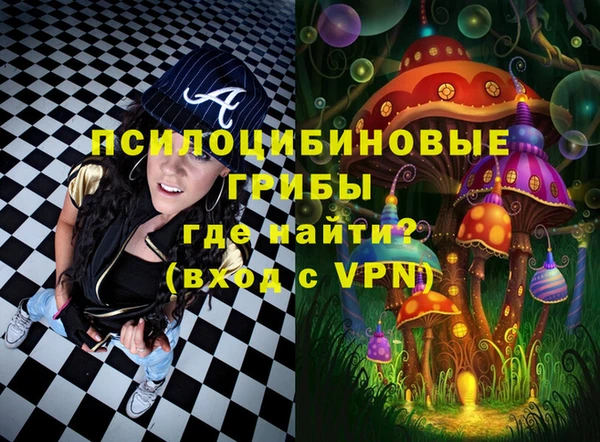PSILOCYBIN Вязьма