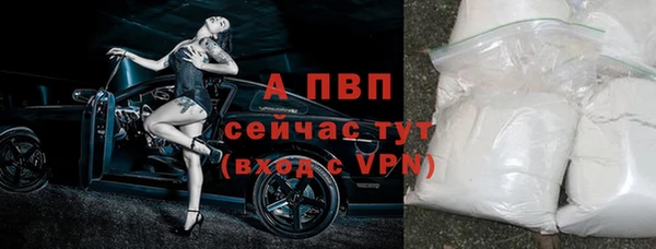 PSILOCYBIN Вязьма