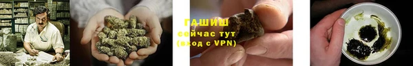 PSILOCYBIN Вязьма